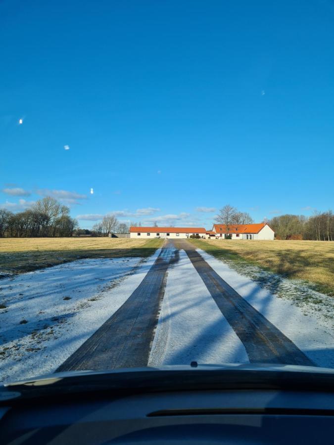 Lovely Room, Easy Access To E45 Highway Rask Molle Buitenkant foto