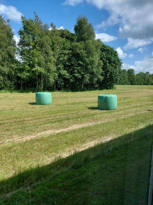 Lovely Room, Easy Access To E45 Highway Rask Molle Buitenkant foto