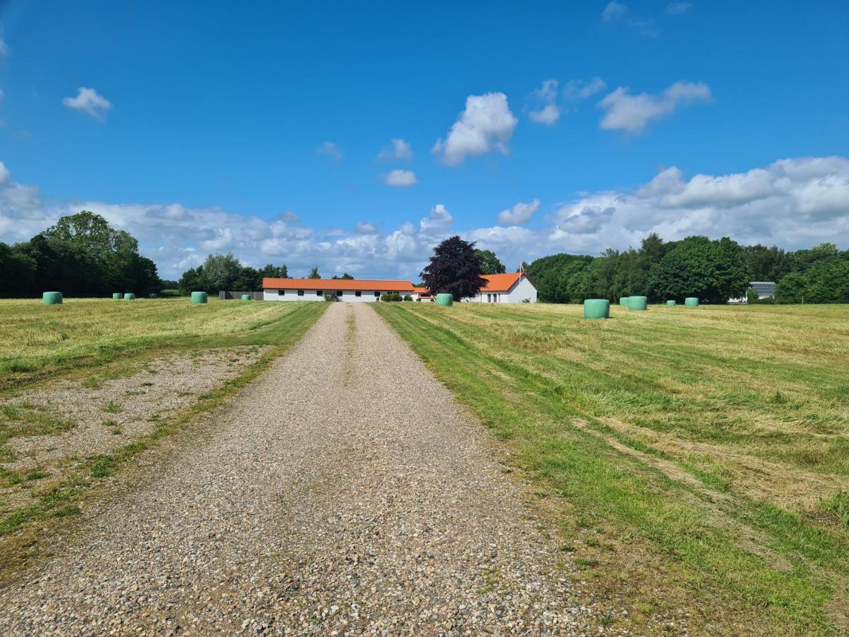 Lovely Room, Easy Access To E45 Highway Rask Molle Buitenkant foto