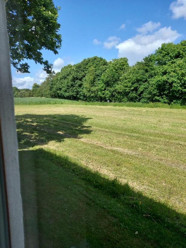 Lovely Room, Easy Access To E45 Highway Rask Molle Buitenkant foto